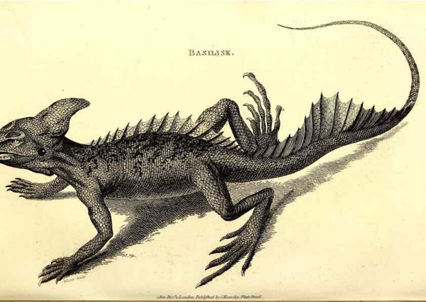 Reproducción/Reproduction 49827167597: General zoology, or Systematic natural history. London,Printed for G. Kearsley,1800-1826.. 