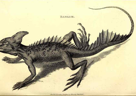 Reproducción/Reproduction 49827167597: General zoology, or Systematic natural history. London,Printed for G. Kearsley,1800-1826.. 
