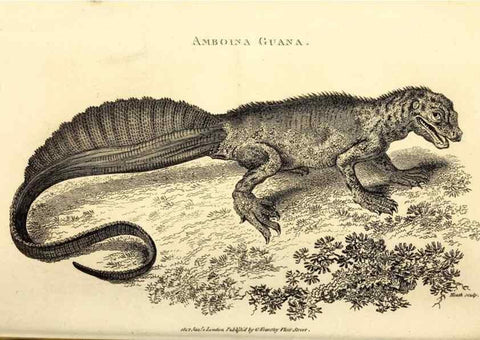 Reproducción/Reproduction 49826852341: General zoology, or Systematic natural history. London,Printed for G. Kearsley,1800-1826.. 