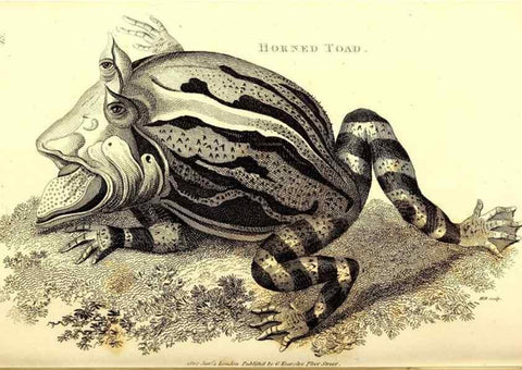 Reproducción/Reproduction 49826313948: General zoology, or Systematic natural history. London,Printed for G. Kearsley,1800-1826.. 