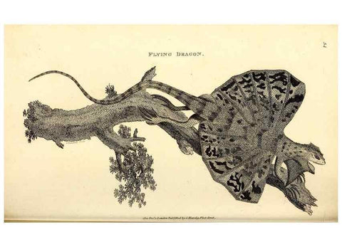 Reproducción/Reproduction 49826316228: General zoology, or Systematic natural history. London,Printed for G. Kearsley,1800-1826.. 