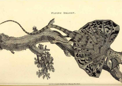 Reproducción/Reproduction 49826316228: General zoology, or Systematic natural history. London,Printed for G. Kearsley,1800-1826.. 
