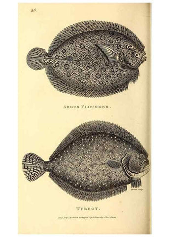 Reproducción/Reproduction 49826656986: General zoology, or Systematic natural history. London,Printed for G. Kearsley,1800-1826.. 