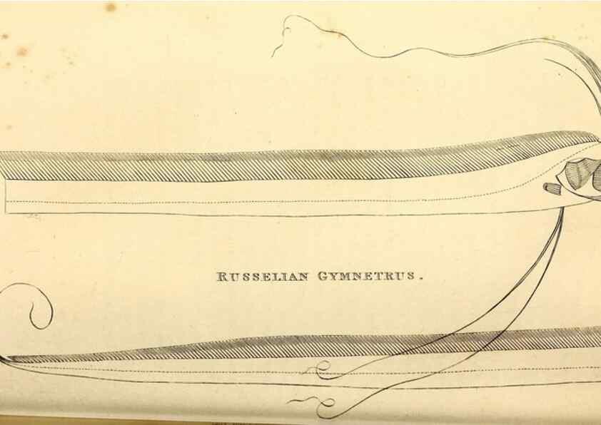 Reproducción/Reproduction 49826966312: General zoology, or Systematic natural history. London,Printed for G. Kearsley,1800-1826.. 