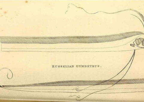Reproducción/Reproduction 49826966312: General zoology, or Systematic natural history. London,Printed for G. Kearsley,1800-1826.. 