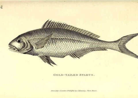 Reproducción/Reproduction 49826661221: General zoology, or Systematic natural history. London,Printed for G. Kearsley,1800-1826.. 