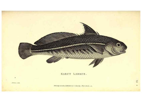 Reproducción/Reproduction 49826666366: General zoology, or Systematic natural history. London,Printed for G. Kearsley,1800-1826.. 