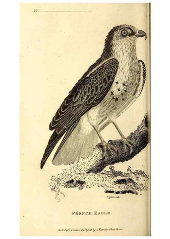 Reproducción/Reproduction 49830365787: General zoology, or Systematic natural history. London,Printed for G. Kearsley,1800-1826.. 