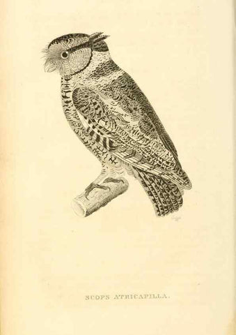 Reproducción/Reproduction 49830502978: General zoology, or Systematic natural history. London,Printed for G. Kearsley,1800-1826.. 