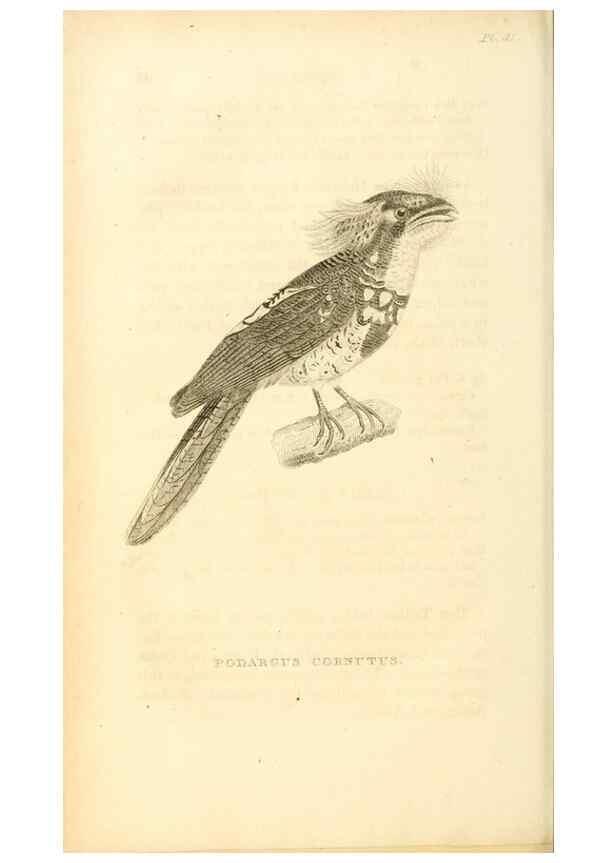 Reproducción/Reproduction 49831036876: General zoology, or Systematic natural history. London,Printed for G. Kearsley,1800-1826.. 
