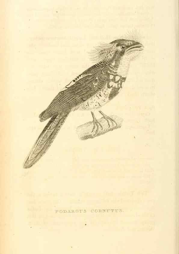 Reproducción/Reproduction 49831036876: General zoology, or Systematic natural history. London,Printed for G. Kearsley,1800-1826.. 