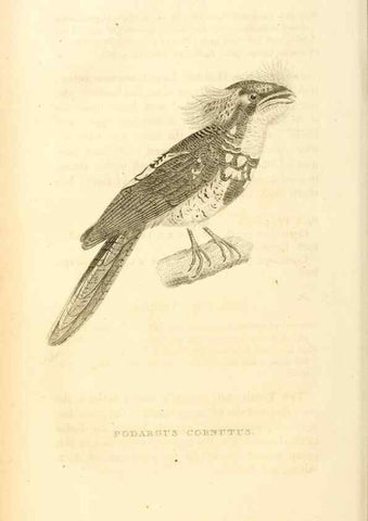 Reproducción/Reproduction 49831036876: General zoology, or Systematic natural history. London,Printed for G. Kearsley,1800-1826.. 