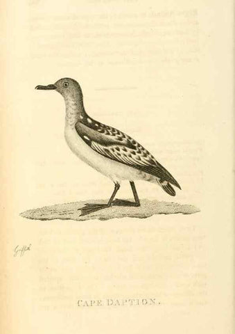 Reproducción/Reproduction 49831341362: General zoology, or Systematic natural history. London,Printed for G. Kearsley,1800-1826.. 