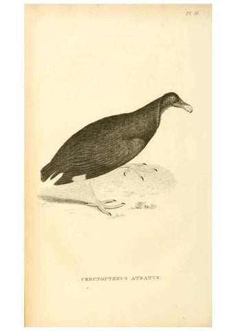 Reproducción/Reproduction 49831342182: General zoology, or Systematic natural history. London,Printed for G. Kearsley,1800-1826.. 