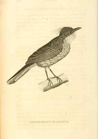 Reproducción/Reproduction 49831348687: General zoology, or Systematic natural history. London,Printed for G. Kearsley,1800-1826.. 
