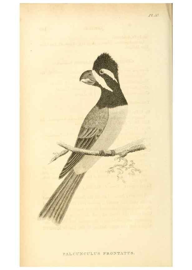 Reproducción/Reproduction 49830506898: General zoology, or Systematic natural history. London,Printed for G. Kearsley,1800-1826.. 
