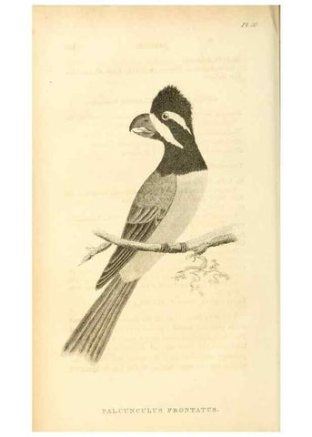 Reproducción/Reproduction 49830506898: General zoology, or Systematic natural history. London,Printed for G. Kearsley,1800-1826.. 