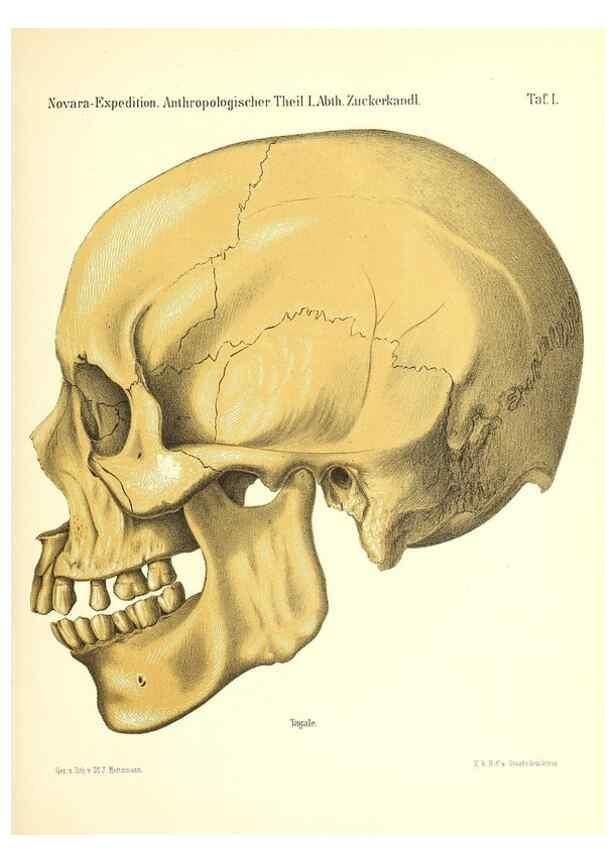 Reproducción/Reproduction 49831433022: Reise der österreichischen Fregatte Novara. Wien,Kaiserlich-K1861-75.. 