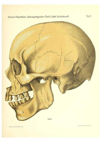 Reproducción/Reproduction 49831433022: Reise der österreichischen Fregatte Novara. Wien,Kaiserlich-K1861-75.. 
