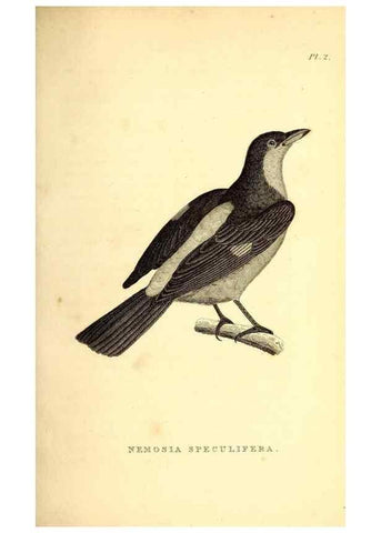 Reproducción/Reproduction 49830590788: General zoology, or Systematic natural history. London,Printed for G. Kearsley,1800-1826.. 