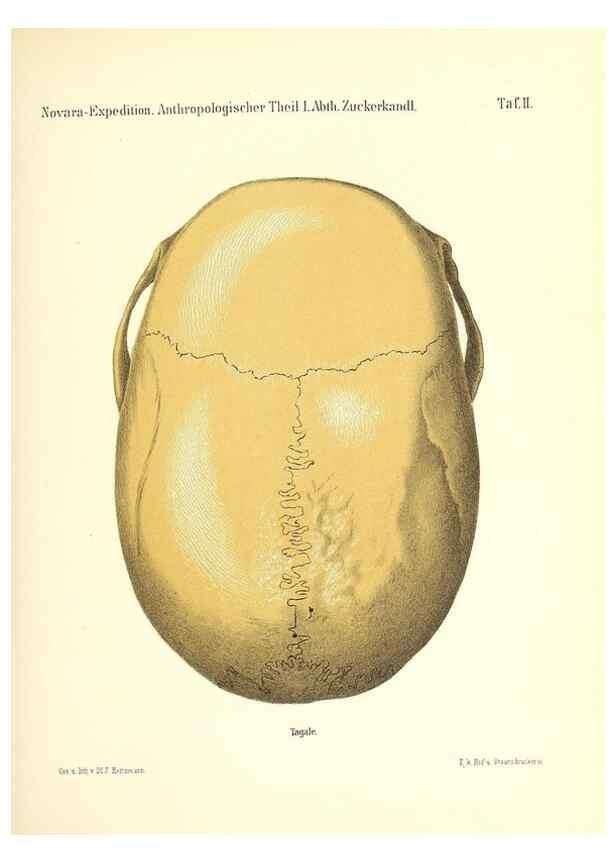 Reproducción/Reproduction 49830591023: Reise der österreichischen Fregatte Novara. Wien,Kaiserlich-K1861-75.. 