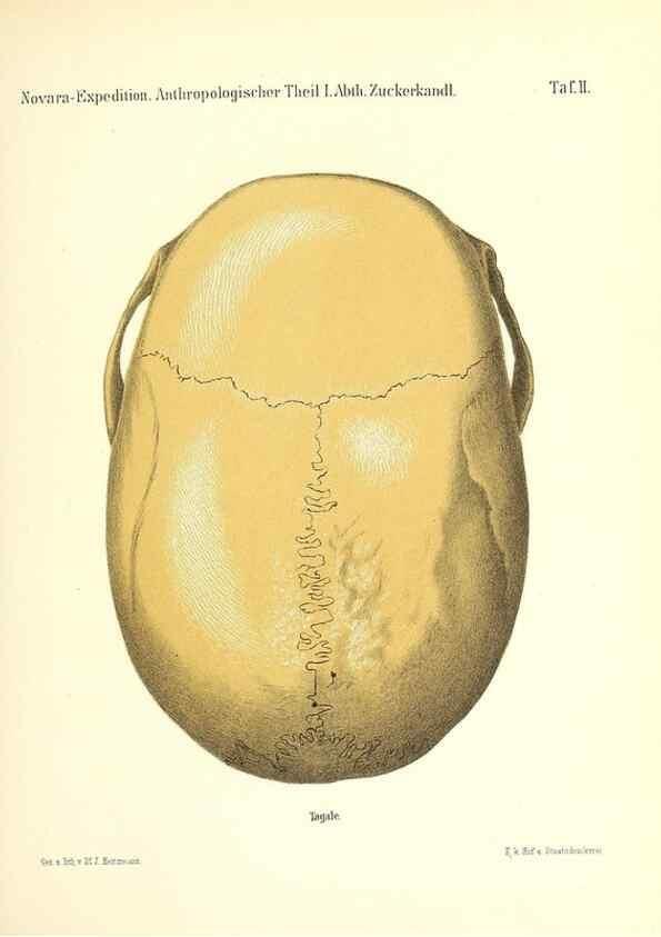 Reproducción/Reproduction 49830591023: Reise der österreichischen Fregatte Novara. Wien,Kaiserlich-K1861-75.. 