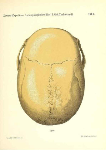 Reproducción/Reproduction 49830591023: Reise der österreichischen Fregatte Novara. Wien,Kaiserlich-K1861-75.. 
