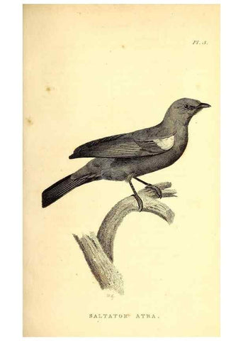 Reproducción/Reproduction 49831433402: General zoology, or Systematic natural history. London,Printed for G. Kearsley,1800-1826.. 