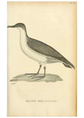 Reproducción/Reproduction 49830498558: General zoology, or Systematic natural history. London,Printed for G. Kearsley,1800-1826.. 