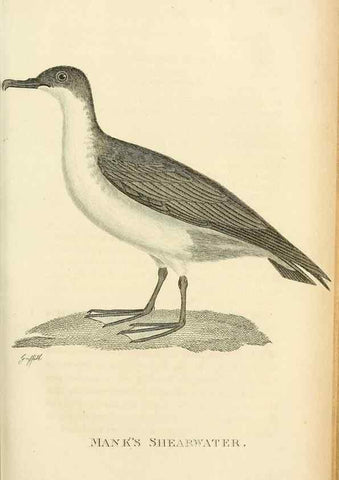 Reproducción/Reproduction 49830498558: General zoology, or Systematic natural history. London,Printed for G. Kearsley,1800-1826.. 