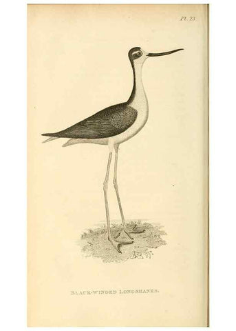 Reproducción/Reproduction 49831268337: General zoology, or Systematic natural history. London,Printed for G. Kearsley,1800-1826.. 