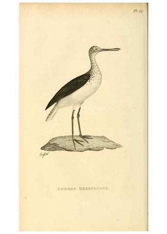 Reproducción/Reproduction 49831265052: General zoology, or Systematic natural history. London,Printed for G. Kearsley,1800-1826.. 