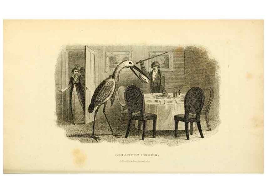 Reproducción/Reproduction 49830873456: General zoology, or Systematic natural history. London,Printed for G. Kearsley,1800-1826.. 