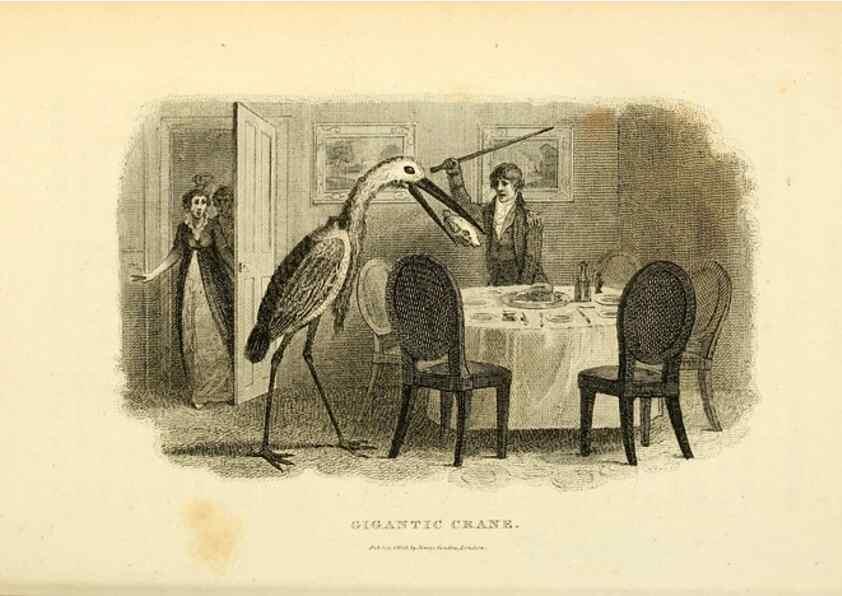 Reproducción/Reproduction 49830873456: General zoology, or Systematic natural history. London,Printed for G. Kearsley,1800-1826.. 