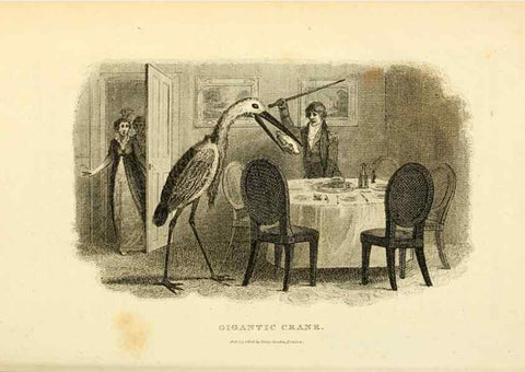 Reproducción/Reproduction 49830873456: General zoology, or Systematic natural history. London,Printed for G. Kearsley,1800-1826.. 