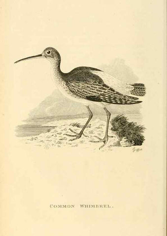 Reproducción/Reproduction 49831262572: General zoology, or Systematic natural history. London,Printed for G. Kearsley,1800-1826.. 