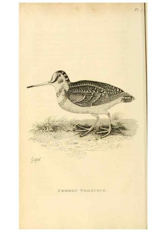 Reproducción/Reproduction 49830954561: General zoology, or Systematic natural history. London,Printed for G. Kearsley,1800-1826.. 