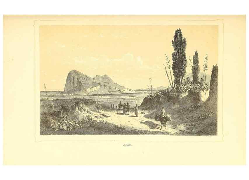 Reproducción/Reproduction 49830496973: Reise der österreichischen Fregatte Novara. Wien,Kaiserlich-K1861-75.. 