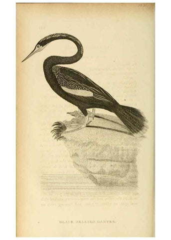 Reproducción/Reproduction 49831027131: General zoology, or Systematic natural history. London,Printed for G. Kearsley,1800-1826.. 