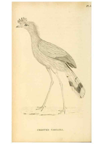 Reproducción/Reproduction 49830962606: General zoology, or Systematic natural history. London,Printed for G. Kearsley,1800-1826.. 