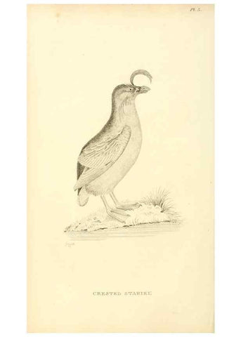 Reproducción/Reproduction 49831331462: General zoology, or Systematic natural history. London,Printed for G. Kearsley,1800-1826.. 