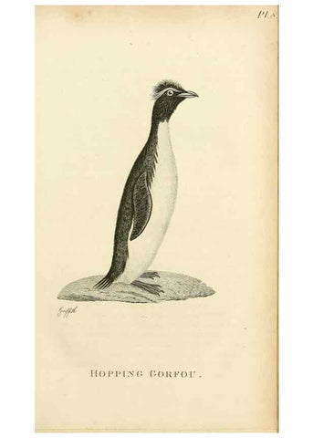 Reproducción/Reproduction 49831023001: General zoology, or Systematic natural history. London,Printed for G. Kearsley,1800-1826.. 