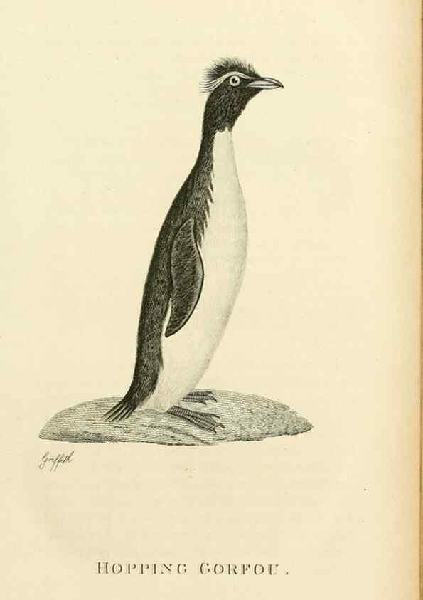 Reproducción/Reproduction 49831023001: General zoology, or Systematic natural history. London,Printed for G. Kearsley,1800-1826.. 