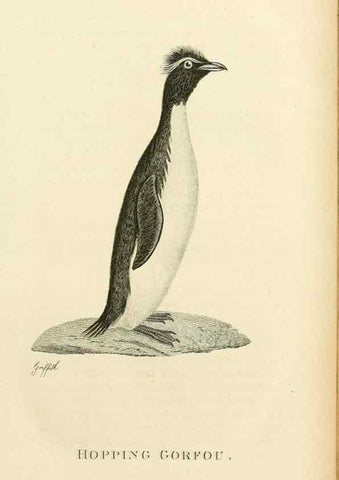 Reproducción/Reproduction 49831023001: General zoology, or Systematic natural history. London,Printed for G. Kearsley,1800-1826.. 