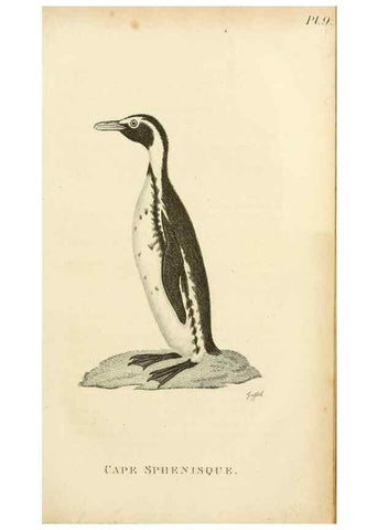 Reproducción/Reproduction 49830490588: General zoology, or Systematic natural history. London,Printed for G. Kearsley,1800-1826.. 