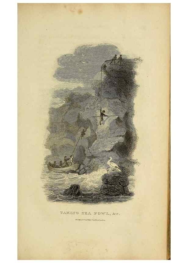 Reproducción/Reproduction 49830492353: General zoology, or Systematic natural history. London,Printed for G. Kearsley,1800-1826.. 