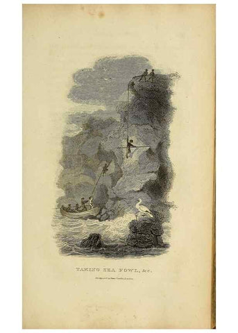 Reproducción/Reproduction 49830492353: General zoology, or Systematic natural history. London,Printed for G. Kearsley,1800-1826.. 