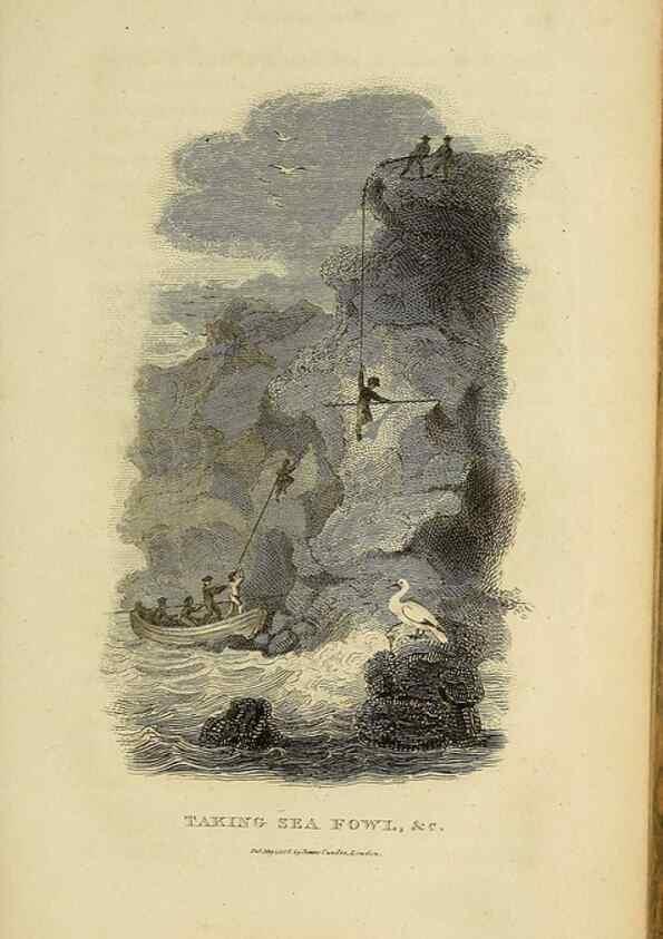 Reproducción/Reproduction 49830492353: General zoology, or Systematic natural history. London,Printed for G. Kearsley,1800-1826.. 