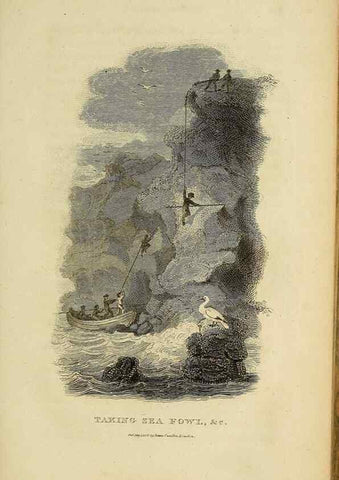 Reproducción/Reproduction 49830492353: General zoology, or Systematic natural history. London,Printed for G. Kearsley,1800-1826.. 