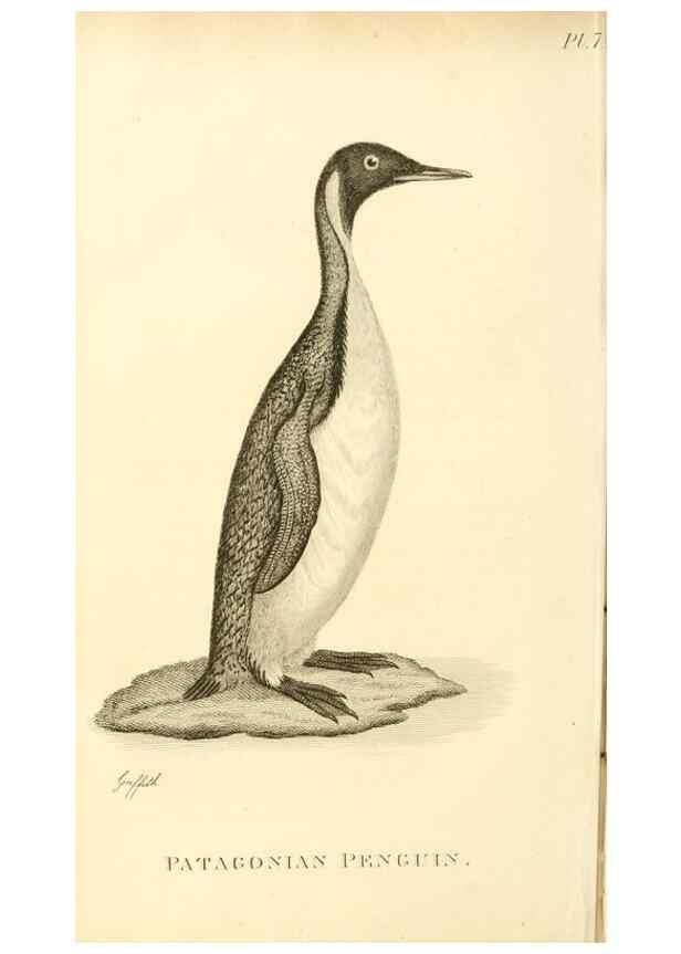 Reproducción/Reproduction 49831332202: General zoology, or Systematic natural history. London,Printed for G. Kearsley,1800-1826.. 